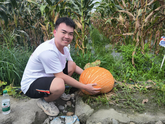 betway必威西汉姆联